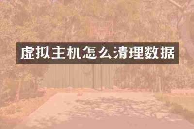 虚拟主机怎么清理数据
