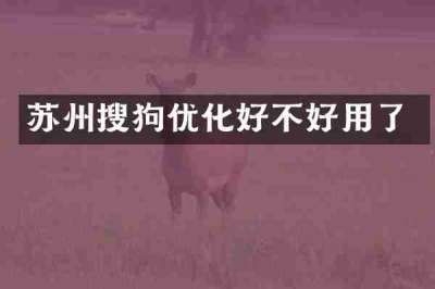苏州搜狗优化好不好用了
