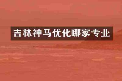 吉林神马优化哪家专业