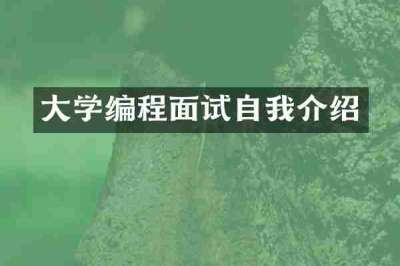 大学编程面试自我介绍