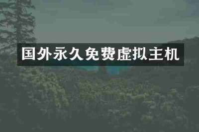 国外永久免费虚拟主机