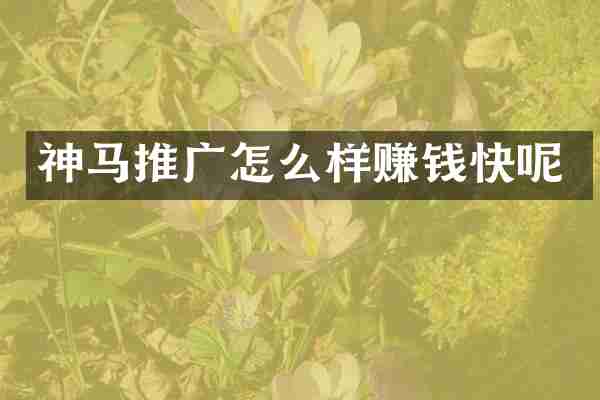 神马推广怎么样赚钱快呢