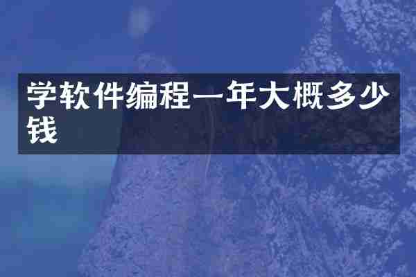学软件编程一年大概多少钱