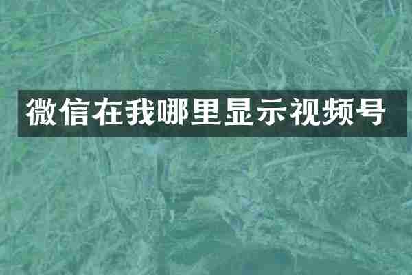 微信在我哪里显示视频号