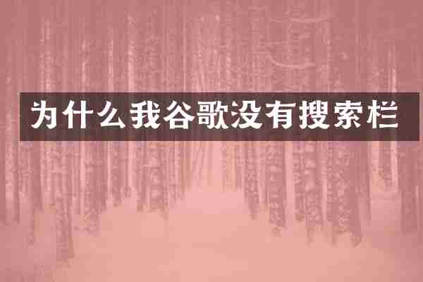 为什么我谷歌没有搜索栏