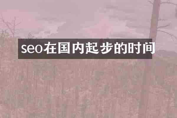 seo在国内起步的时间