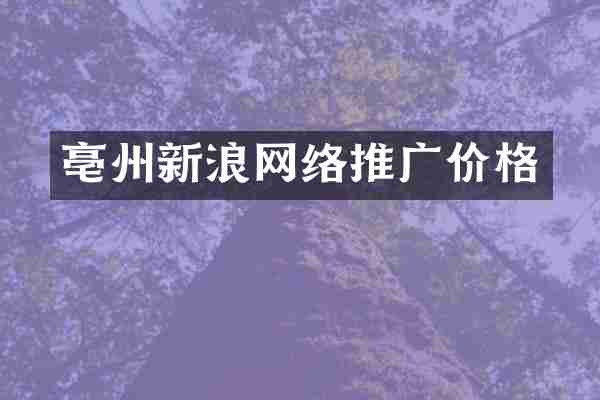 亳州新浪网络推广价格