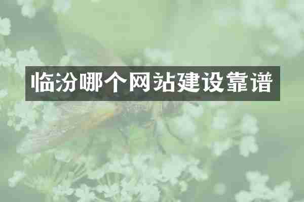 临汾哪个网站建设靠谱