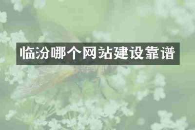 临汾哪个网站建设靠谱