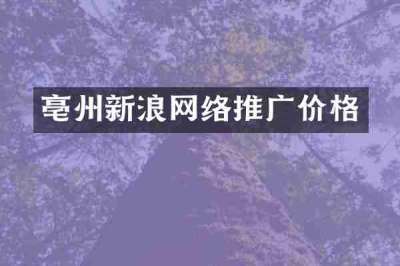 亳州新浪网络推广价格