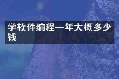 学软件编程一年大概多少钱