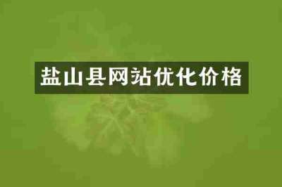 盐山县网站优化价格