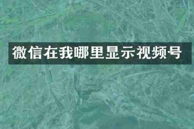 微信在我哪里显示视频号