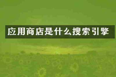 应用商店是什么搜索引擎