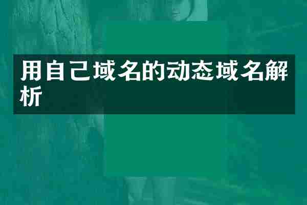 用自己域名的动态域名解析