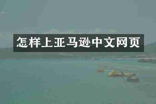 怎样上亚马逊中文网页