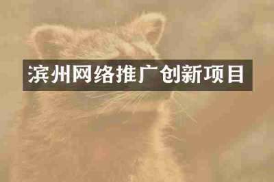 滨州网络推广创新项目