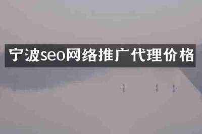 宁波seo网络推广代理价格