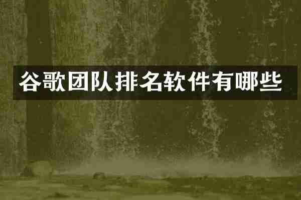 谷歌团队排名软件有哪些