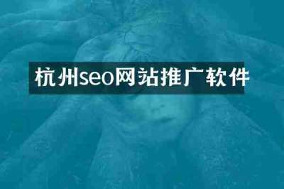 杭州seo网站推广软件
