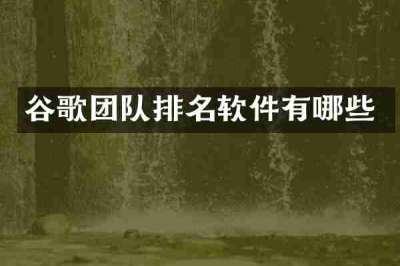 谷歌团队排名软件有哪些
