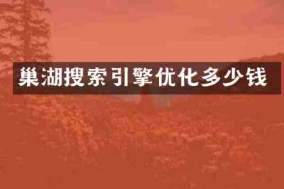 巢湖搜索引擎优化多少钱