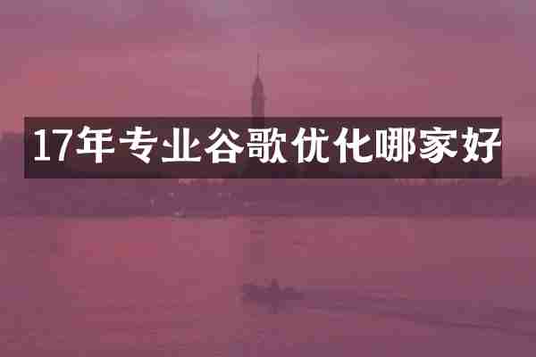 17年专业谷歌优化哪家好