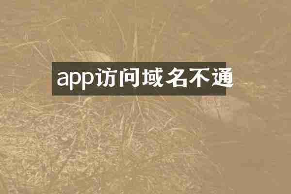 app访问域名不通