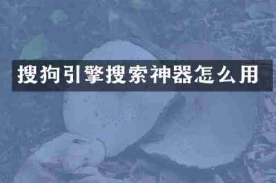 搜狗引擎搜索神器怎么用