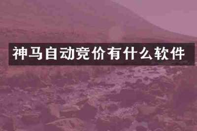 神马自动竞价有什么软件