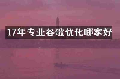 17年专业谷歌优化哪家好
