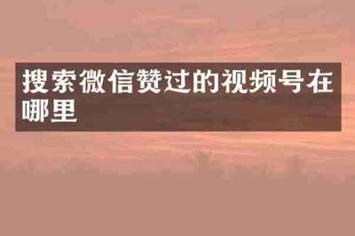 搜索微信赞过的视频号在哪里