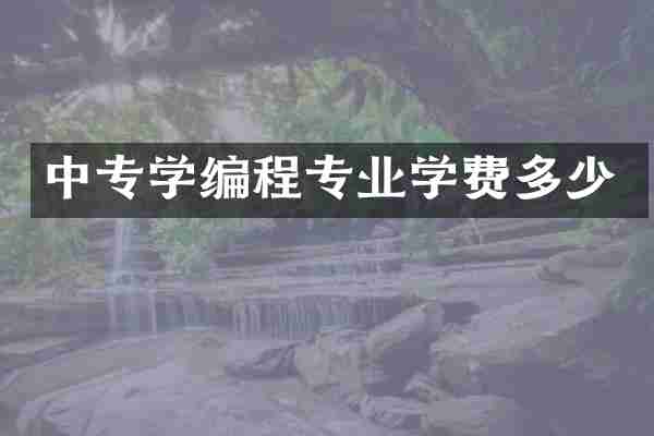 中专学编程专业学费多少