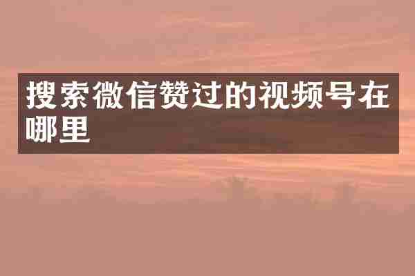 搜索微信赞过的视频号在哪里