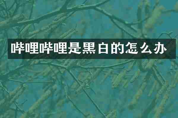 哔哩哔哩是黑白的怎么办