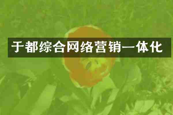 于都综合网络营销一体化