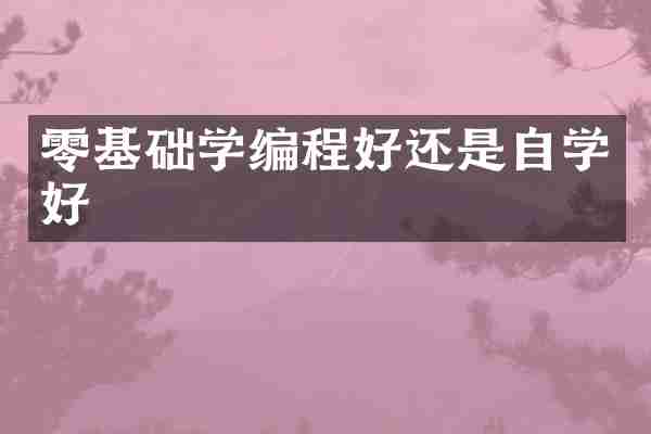 零基础学编程好还是自学好