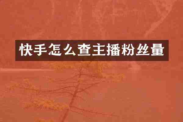 快手怎么查主播粉丝量