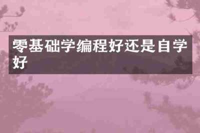 零基础学编程好还是自学好