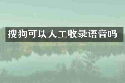 搜狗可以人工收录语音吗