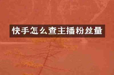 快手怎么查主播粉丝量