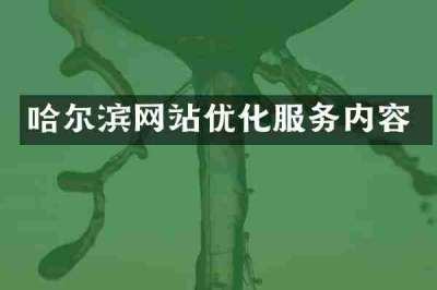哈尔滨网站优化服务内容