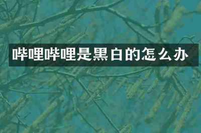 哔哩哔哩是黑白的怎么办