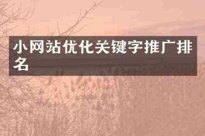 小网站优化关键字推广排名