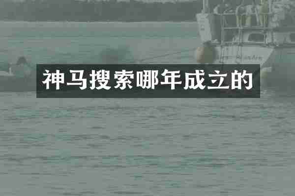 神马搜索哪年成立的