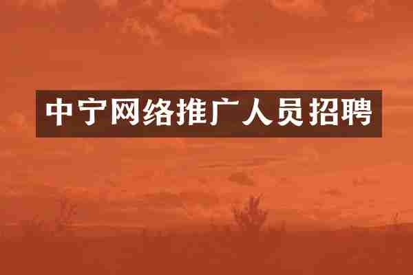 中宁网络推广人员招聘