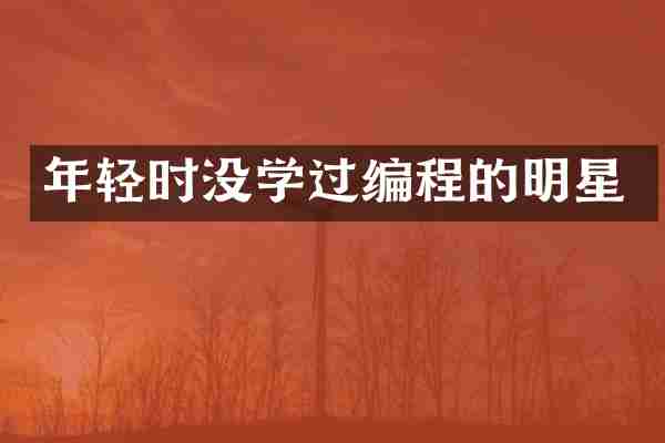 年轻时没学过编程的明星