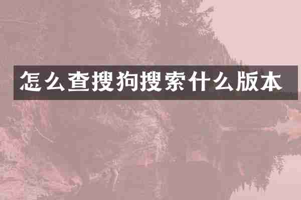 怎么查搜狗搜索什么版本