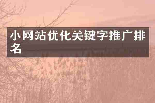 小网站优化关键字推广排名