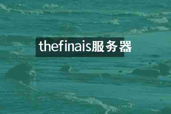 thefinais服务器
